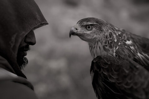 Vencedores do concurso de fotos (Photo mode) do Assassins’s Creed Origins