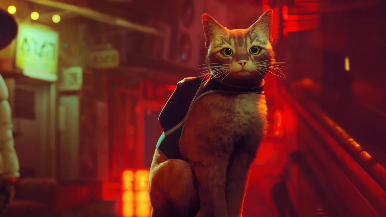 Stray em 4K será lançado para Switch 2: Descubra as novidades
