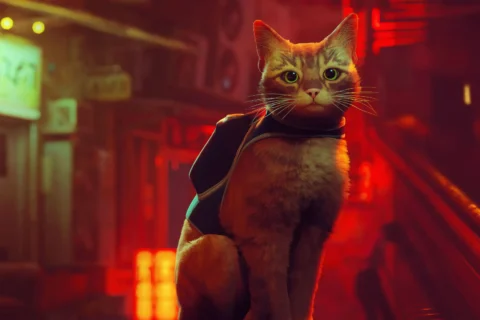 Stray em 4K será lançado para Switch 2: Descubra as novidades