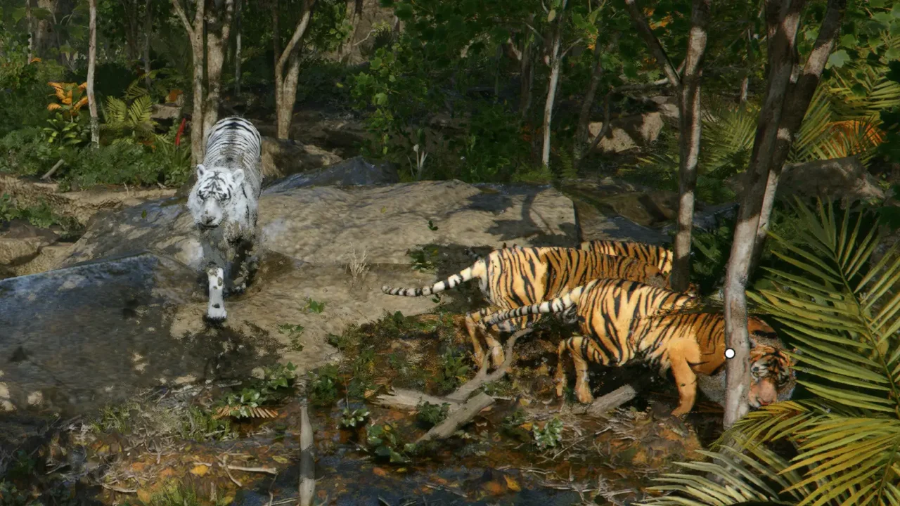 Domine Tigres e Leões: Atualização de Crimson Desert Surpreende