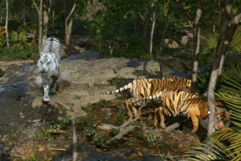 Domine Tigres e Leões: Atualização de Crimson Desert Surpreende